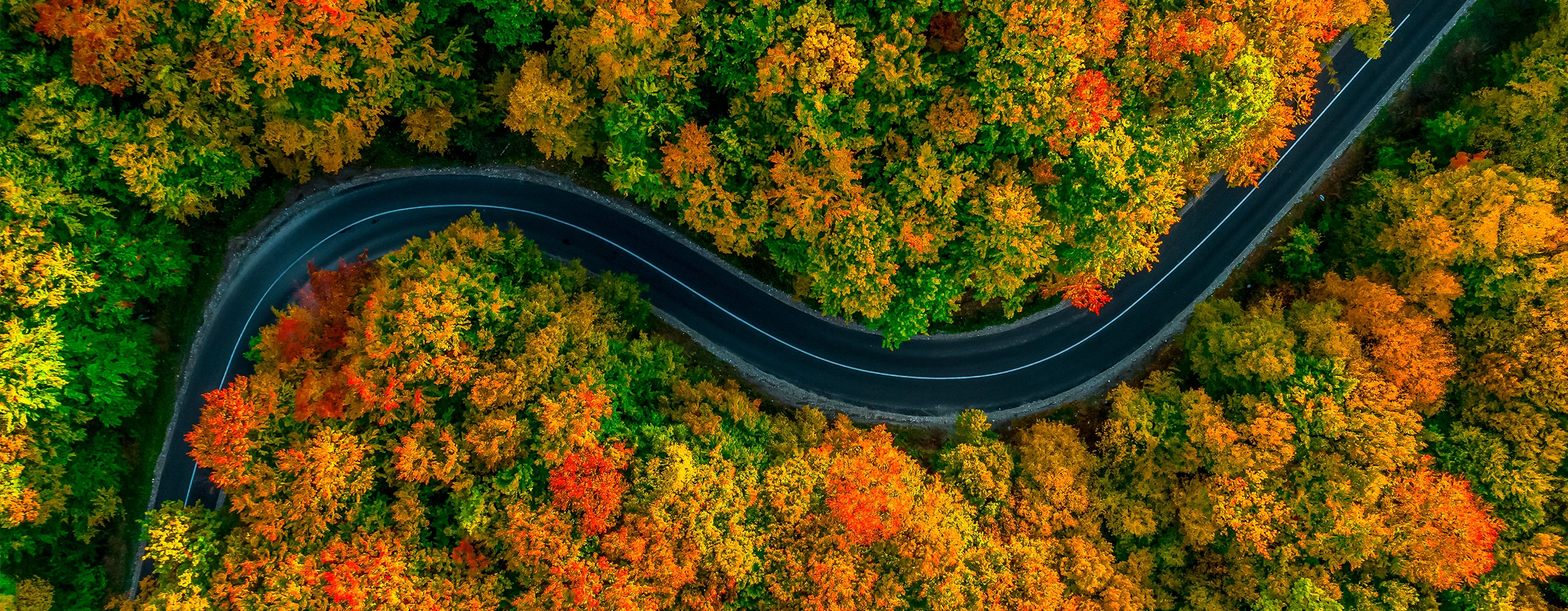 All-Season Tires